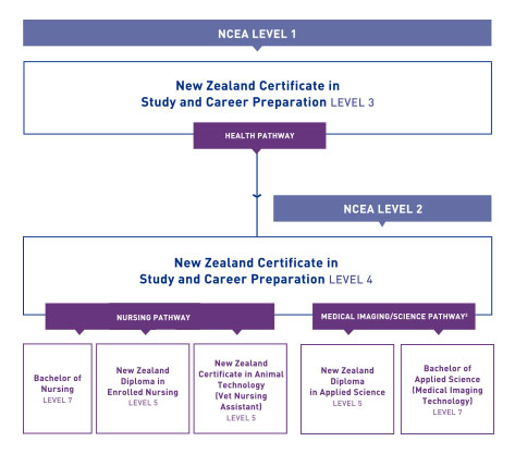 health research careers nz